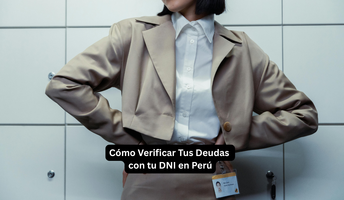 Cómo Verificar Tus Deudas con tu DNI en Perú